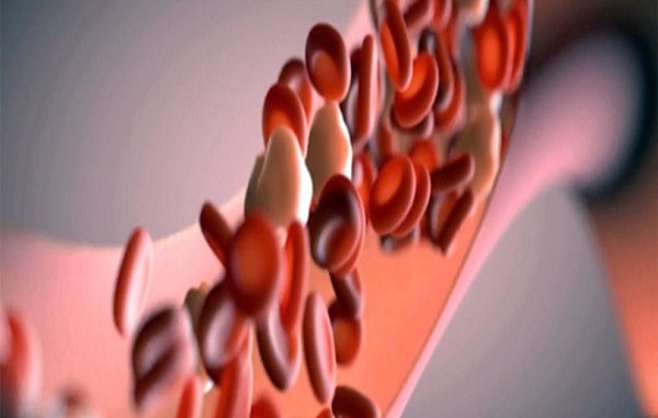 all-you-need-to-know-about-blood-vessels2 All You Need to Know About Blood Vessels