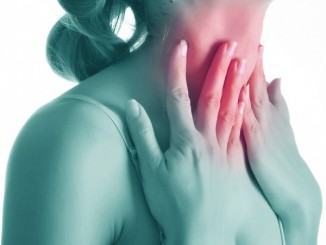 Endocrine System Functions, Facts & Diseases