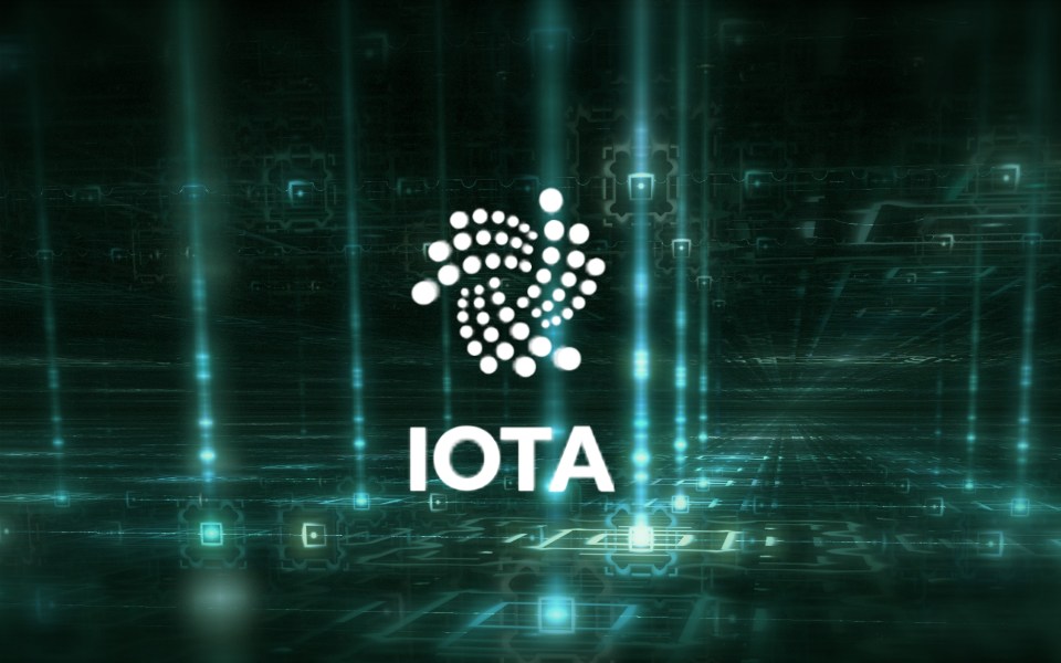 iota tangle network