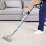 Steam Carpet Cleaner In Perth