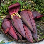 Banana Flower Is Edible