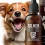 CBD for Pets: How It Can Help Your Furry Friends