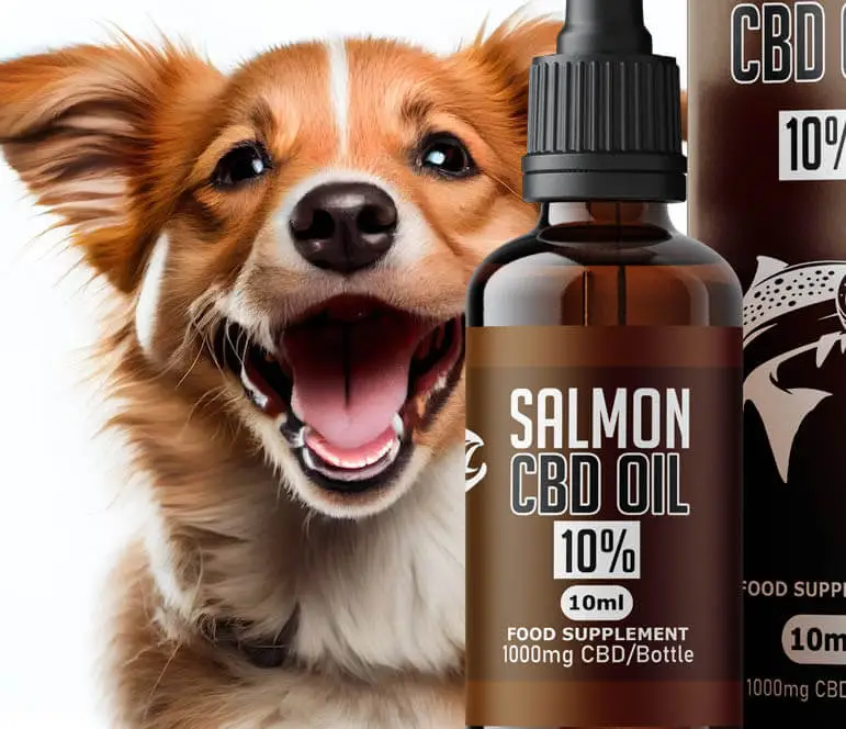 CBD Oil for Dogs UK