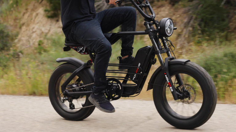 Quality of Electric Assist Bicycles