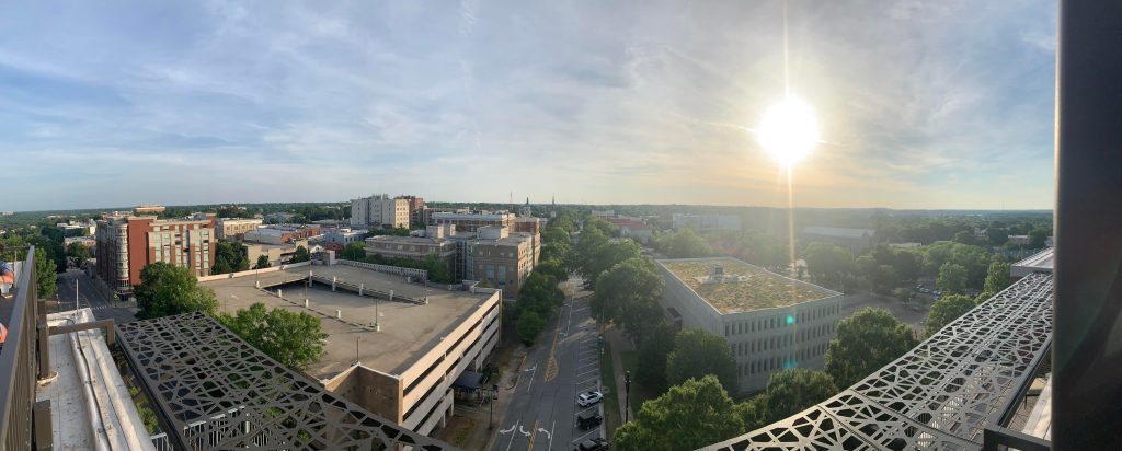 1000286313 1000286313